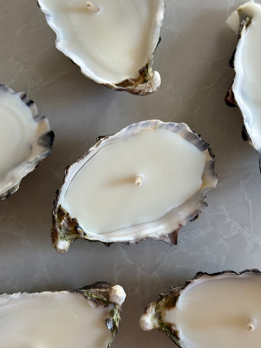 Oyster Shell | Candle