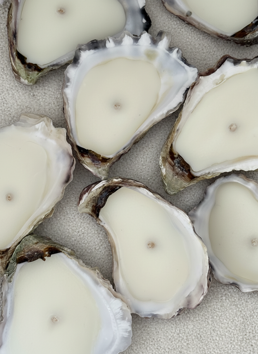 Oyster Shell | Candle